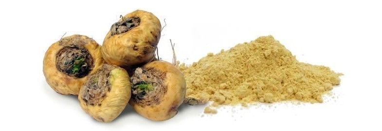 Maca – Das Superfood aus den Anden