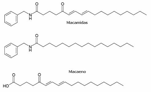 Macamide